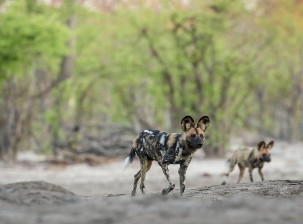 Screenshot 2024-06-14 at 11.50.50 AM Screenshot 2024 06 14 At 11.50.50 am